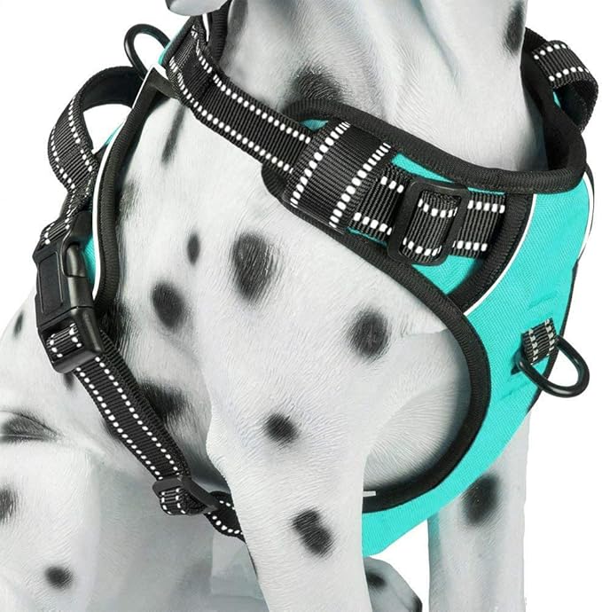 PoyPet No Pull Dog Harness, Reflective Comfortable Vest Harness with Front & Back 2 Leash Attachments and Easy Control Handle Adjustable Soft Padded Pet Vest for Small Medium Large Dogs (Mint Blue,M)-Mewly Pet