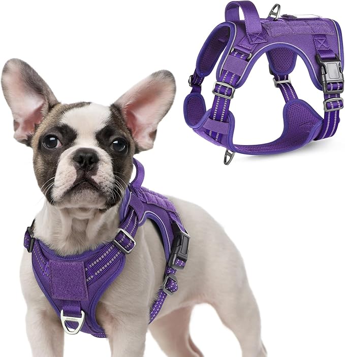 rabbitgoo Tactical Dog Harness for Small Dogs, No Pull Military Service Vest with Handle & Molle, Easy Control for Training Walking, Adjustable Reflective Straps, Purple, S-Mewly Pet