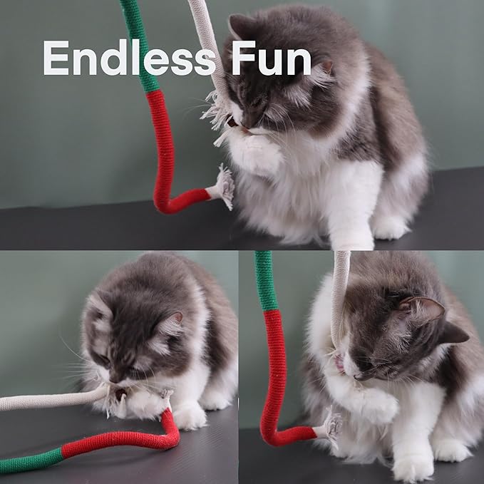 Kittens Toys，Cat Chew Toys for Indoor Cats, Catnip Toy for Teeth Cleaning, Interactive Cat Nip Teething Rope Toys for Cats Kitty, 2 Pack (27.56&7.87 inches，Plus 2 Packs of Catnip)-Mewly Pet