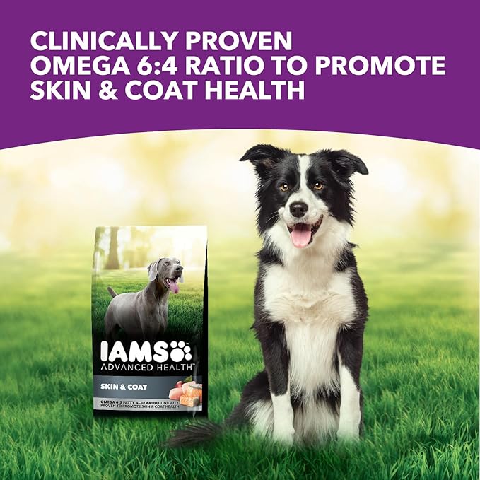 IAMS Advanced Health Skin & Coat Adult Dry Dog Food Chicken and Salmon Recipe, 6 lb. Bag-Mewly Pet