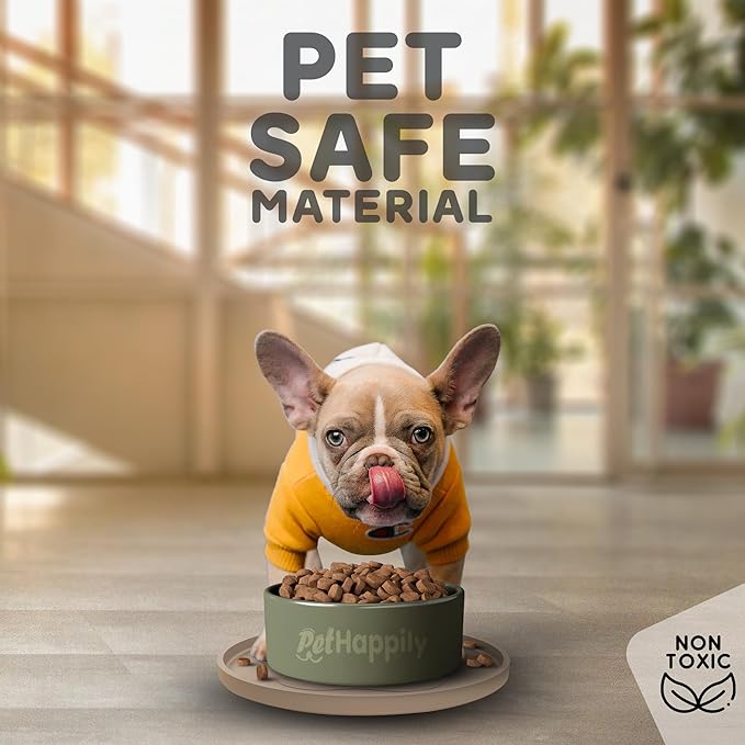 Dog Food Mat Round 10" - Raised Edges Dogs Mat for Food and Water Prevent Spill, Waterproof Cat Food Mats Protect Floors, Easy Clean Dog Bowl Mats for Food and Water, Silicone Pet Feeding Placemats-Mewly Pet