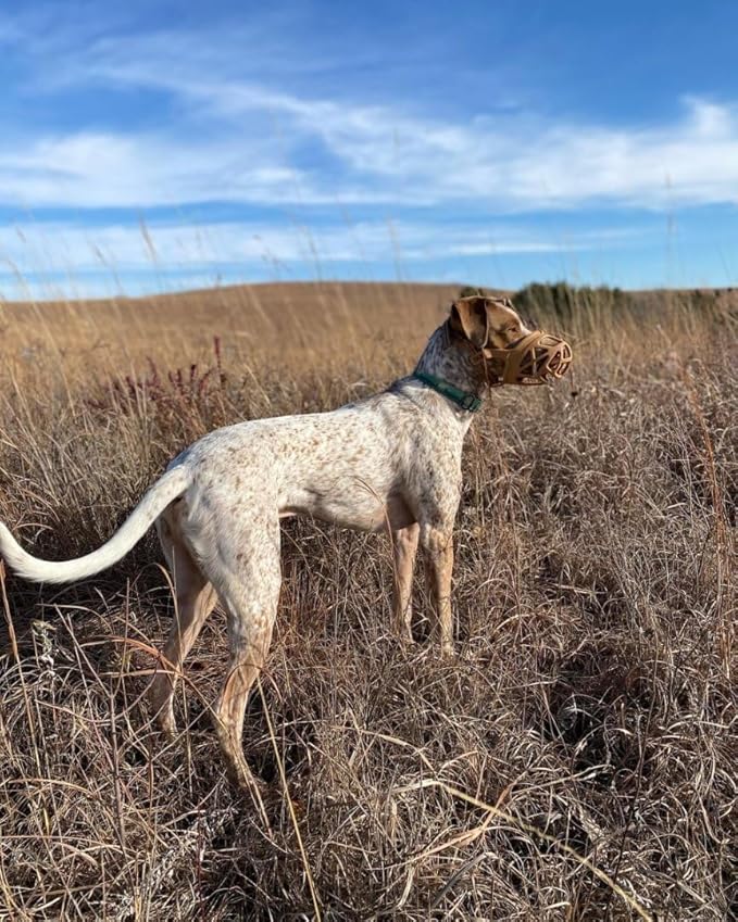 Mayerzon Dog Muzzle, Breathable Basket Muzzles for Small, Medium, Large and X-Large Aggressive Dogs Beagle German Shepherd Doberman, Cage Mouth Guard Stop Biting Chewing for Grooming Training-Mewly Pet