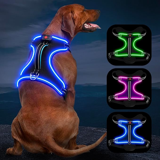 LED Dog Harness, No Pull, Light Up, Rechargeable, Blue, Large-Mewly Pet
