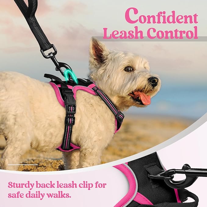 rabbitgoo Dog Harness No Pull with 2 Leash Clips, Adjustable Soft Padded, Reflective Oxford No Choke Pet Vest with Easy Control Handle for Large Dogs, Black & Hot Pink, XS-Mewly Pet