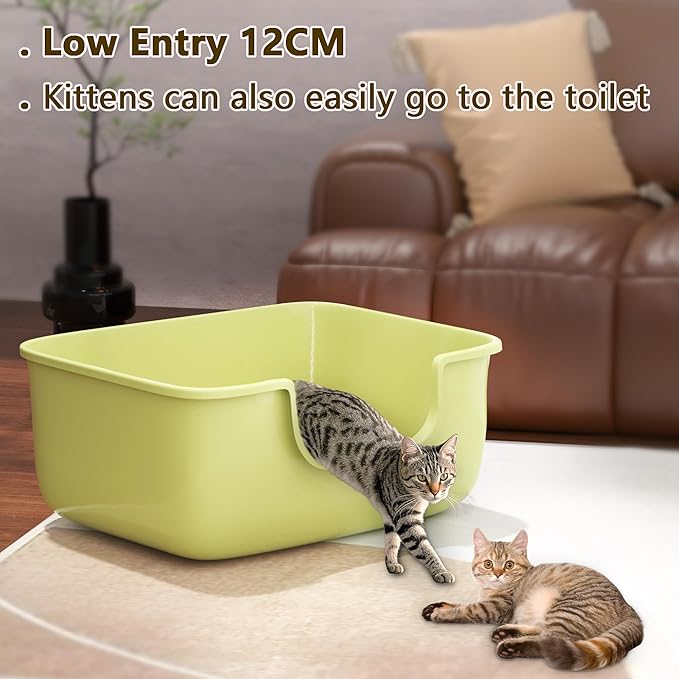 Large Cat Litter Box with High Sides, Open Kitty Litter Boxes Anti-Splashing for Indoor Cat Low Entry Cat Litter Pan for Small and Elderly Cats, Tool-Free Assembly(19.7” * 15.76” * 8.67” Green)-Mewly Pet