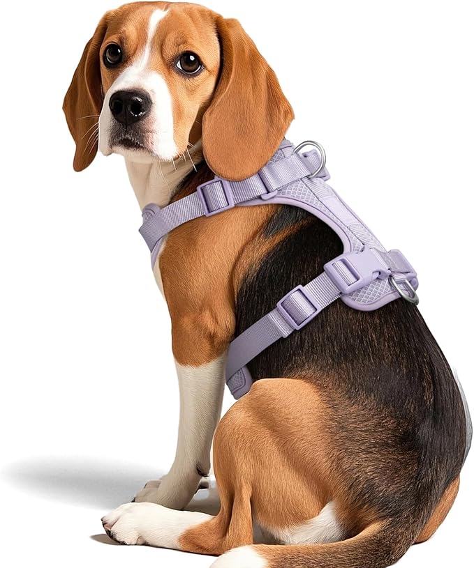 Wisedog Mesh Breathable Dog Harness: No Pull Harness with 3 Fast-Release Buckles Adjustable for Walking & Training for Small Medium Large Dogs (Lilac, M: Neck=17"-22"/Chest=15"-28")-Mewly Pet