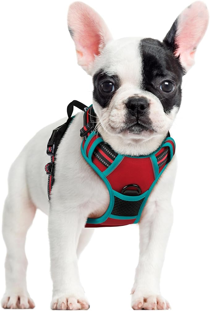 rabbitgoo Dog Harness No Pull with 2 Leash Clips, Adjustable Soft Padded, Reflective Oxford No Choke Pet Vest with Easy Control Handle for Small Dogs, Red & Teal, S-Mewly Pet