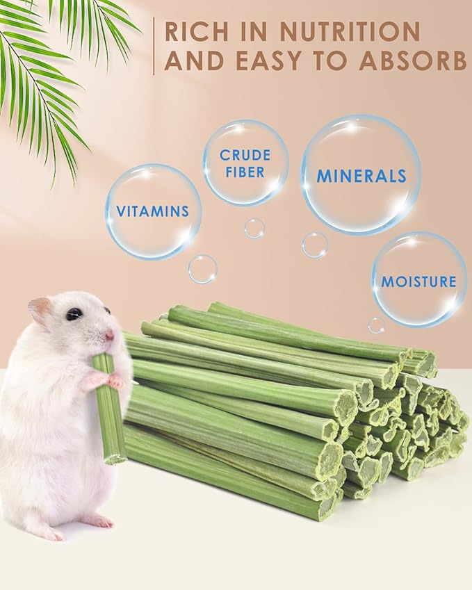 Bissap 50PCS Rabbit Chew Sticks, Natural Papaya Stems Bunny Chews Treats for Rabbits Hamsters Chinchillas Guinea Pigs Small Animals Organic Molar Chewing Snack-Mewly Pet