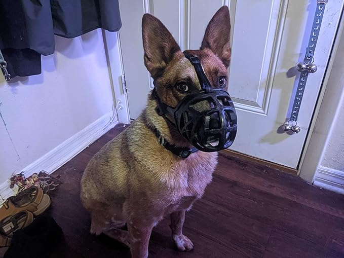 Mayerzon Dog Muzzle, Breathable Basket Muzzles for Small, Medium, Large and X-Large Aggressive Dogs Beagle German Shepherd Doberman, Cage Mouth Guard Stop Biting Chewing for Grooming Training-Mewly Pet