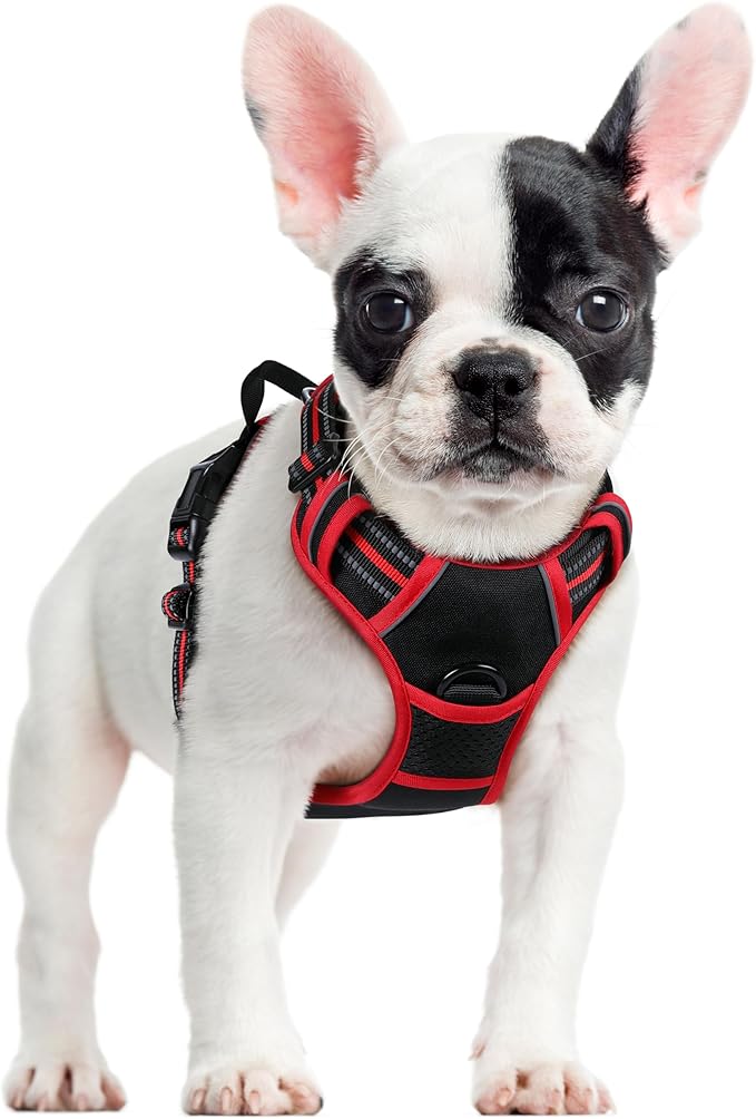 rabbitgoo Dog Harness No Pull with 2 Leash Clips, Adjustable Soft Padded, Reflective Oxford No Choke Pet Vest with Easy Control Handle for Small Dogs, Black & Red, S-Mewly Pet