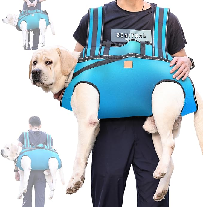 Dog Lift Harness Backpack Carrier for Large Dogs, Full Body Sling with Handle, Dog Harness for Joint Injuries, Arthritis, Ideal for Stairs, Elderly Dogs (Blue XX-Large 50-66 LBS)-Mewly Pet