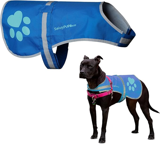 Dog Reflective Vest – Hi-Vis Fluorescent Visibility That Helps to Safeguard Your Pet On/Off Leash in Urban & Rural Areas (Blue, Medium)-Mewly Pet