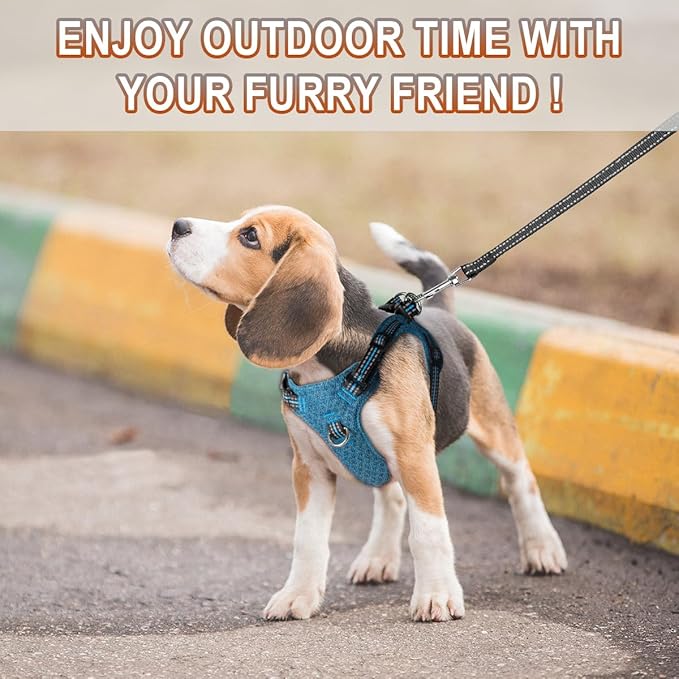 Dog Harness Step in Dog Vest Harness, Reflective Adjustable Puppy No Pull Harness Breathable Soft for Small and Medium Dogs Cats, Blue/Black, S-Mewly Pet