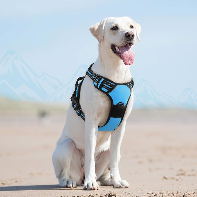 Eagloo Dog Harness for Large Dogs, No Pull Service Vest with Reflective Strips and Control Handle, Adjustable and Comfortable for Easy Walking, No Choke Pet Harness with 2 Metal Rings, Sky Blue, L-Mewly Pet
