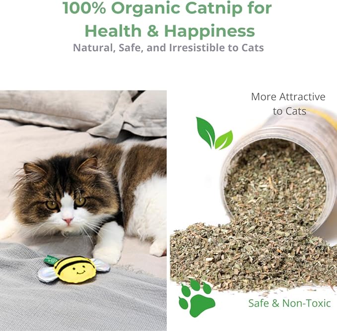 Eco-Friendly Cat Gift Box – 7-Piece Set with Organic Catnip Toys, Feather Wand, Blanket & Pop-Up Cat Cave for Indoor Cats and Kittens-Mewly Pet