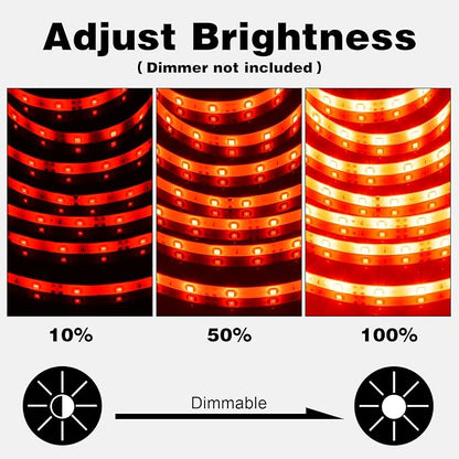 iNextStation 12V LED Light Strip IP65 Waterproof Red LED Strip Lights 16.4ft/5m Cuttable 300 SMD 2835 LED Tape Flexible Led Lights for Bedroom Outdoor Indoor Decor (Power Adapter not Included)