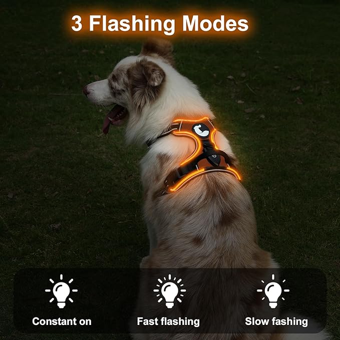 Taglory Light Up Dog Harness, Rechargeable No Pull Dog Vest with 3 Lightning Modes, Reflective Dog Harness with 2 Leash Clips & 4 Adjustable Slide Strips for Medium Dogs, Orange-Orange, M-Mewly Pet