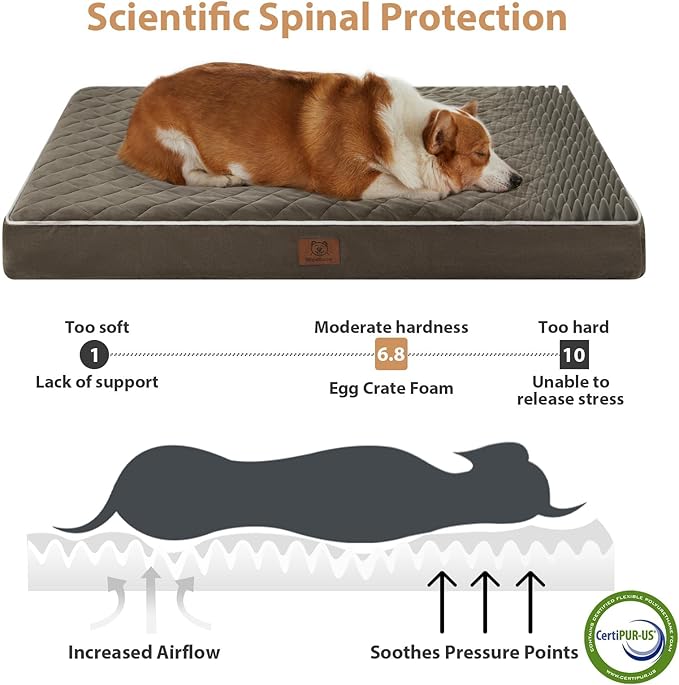 WNPETHOME Orthopedic Giant Dog Beds Large Sized Dog, Waterproof Extra Large Dogs Bed with Removable Washable Cover, Multi-Needle Quilting Dogs Crate Bed-Mewly Pet