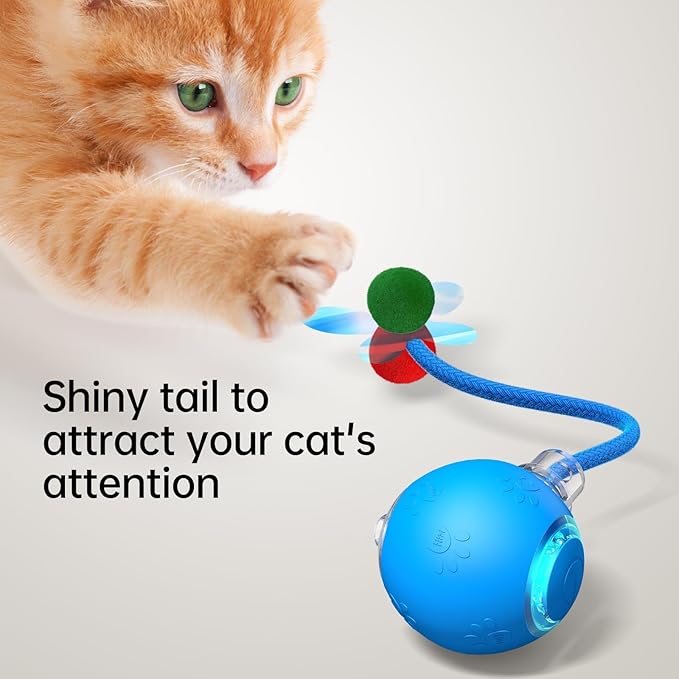 Interactive Cat Toys for Indoor Cats - Kitten Toy with Speedy Tail 2.0, Automatic Cat Toys for Bored Indoor Adult Cats, Motion-Activated, 2025 New Upgraded, USB Rechargeable (Blue)-Mewly Pet