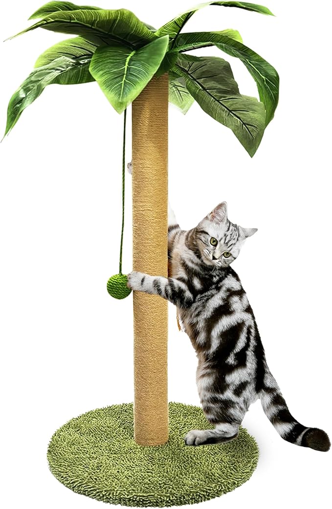 PETKARAY Cat Scratching Post, 36" Tall Palm Tree Cat Scratching Post, Sisal Cat Scratcher with Toy Ball for Indoor Kittens, Large Size-Mewly Pet