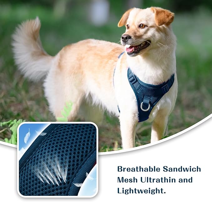 No Pull Dog Harness for Small Medium Large Dogs - Adjustable Two-Layer Mesh Dog Vest with Dual Clip, Escape Proof, Quick Release, Lightweight Breathable Mesh for Walking Hiking (Prussian Blue,S)-Mewly Pet