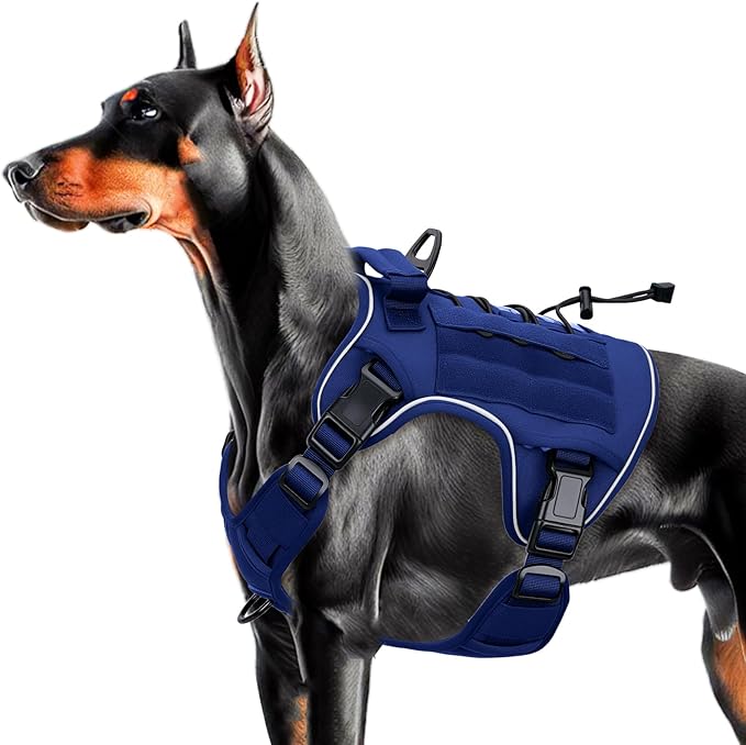 Heavy-Duty Tactical Dog Harness for Large Dogs, No Pull Adjustable Reflective Pet Vest with Molle System, K9 Military-Grade Control for Service Training, Outdoor & 10+ Breeds, Dazzling Blue, Large-Mewly Pet