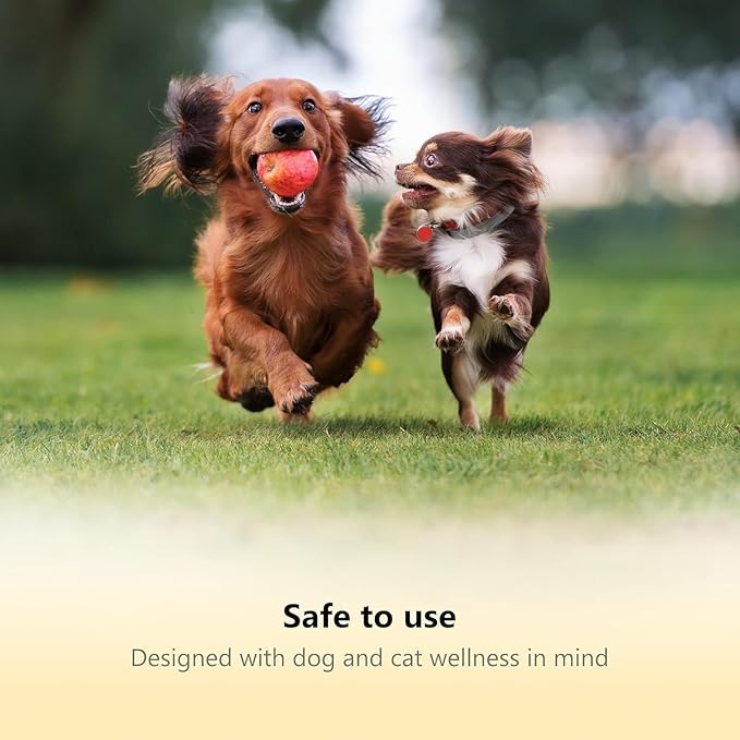 Professional-Grade Nail Clippers for Dogs Nail Trimmer with Safety Guard and Nail File - Nail Clippers for Large Dogs - Dog Nail Clipper Toenail Clippers (Green, Medium-Large (LED))-Mewly Pet