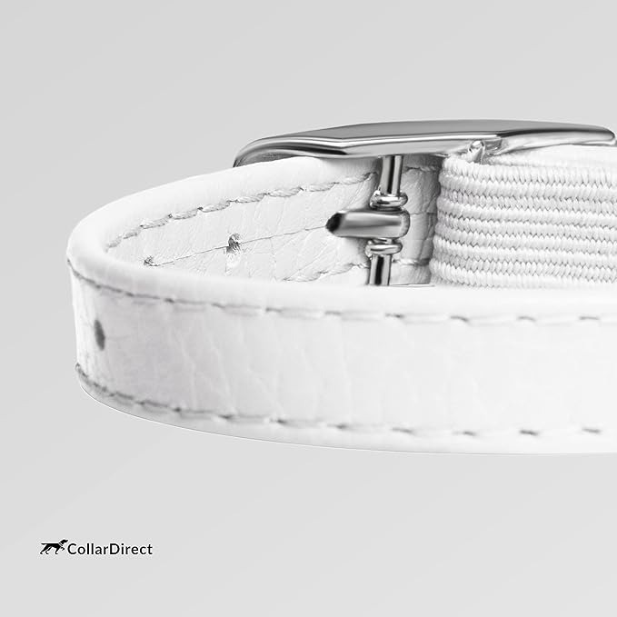 CollarDirect Leather Cat Collar, Kitten Collar with Removable Bell Black Blue Red Orange Lime Green (6-7 Inch, White)-Mewly Pet