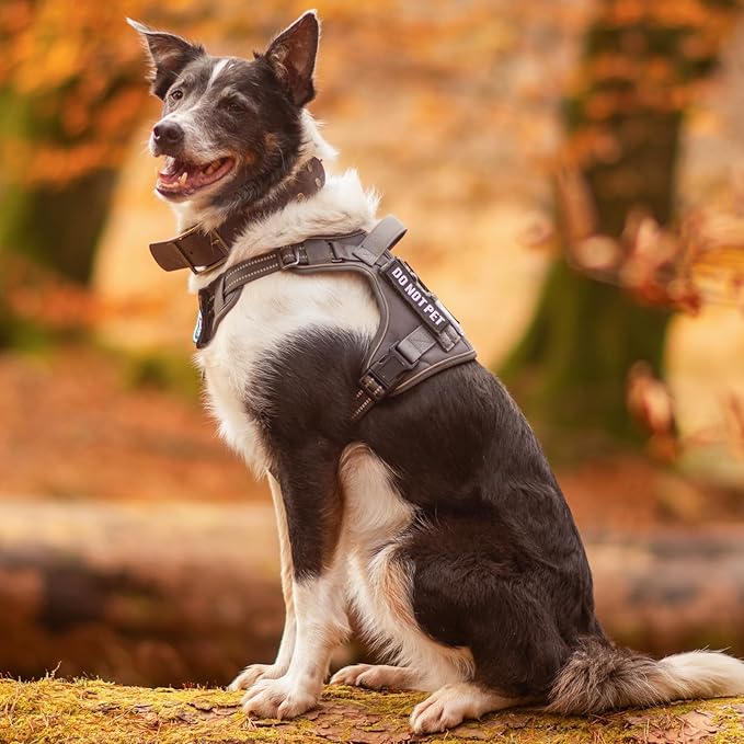 rabbitgoo Dog Harness Small Sized No Pull, Tactical Service Pet Vest with Molle and Control Handle, Adjustable and Reflective Military Harness for Easy Walking and Training, Brown camo, S-Mewly Pet