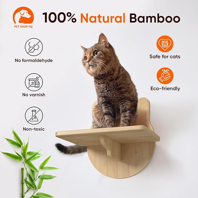 Wall-Mounted Cat Furniture for Climbing - Indoor Wooden Floating Shelves, Perches, Hammock, Bed, Bridges, Walkways - Different Models-Mewly Pet