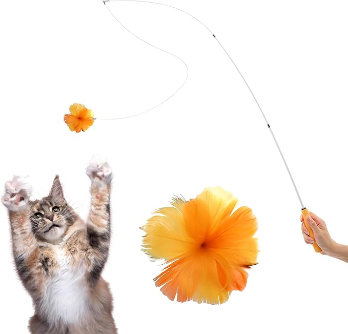 Cat Feather Wand Toy - 38" Retractable Cat Wand Toy with Orange Feather Flower Teaser Refill for Indoor Cats and Interactive Play-Mewly Pet