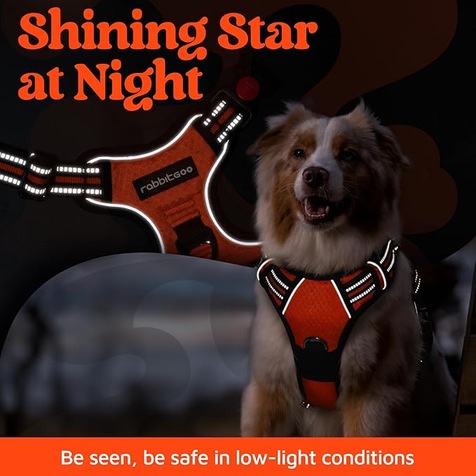 rabbitgoo Dog Harness for Large Dogs, No Pull Pet Vest with 3 Buckles, Adjustable Soft Padded Pet Harness with Easy Control Handle and Reflective Strips, Orange, L-Mewly Pet