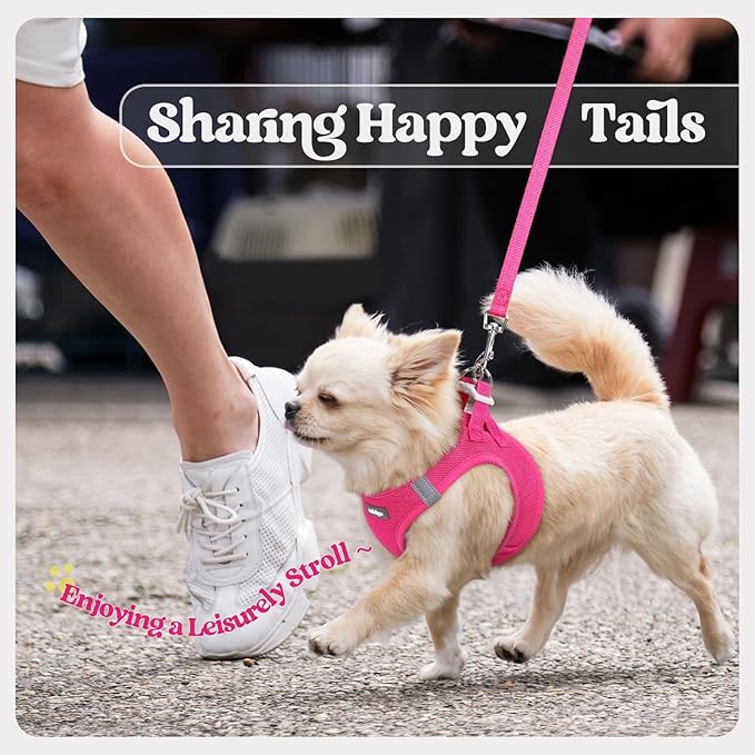 rabbitgoo Dog Harness Small Sized and Leash Set, Step in Soft Light Puppy Vest, Breathable Mesh Pet Harness, Reflective for Safe Easy Walking, Rose Red XXS-Mewly Pet