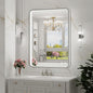 LED Bathroom Mirror with Lights,20x28 Inch Brushed Silver Framed Lighted Vanity Mirror,Anti Fog Stepless Dimmable Wall Mounted(Horizontal/Vertical)