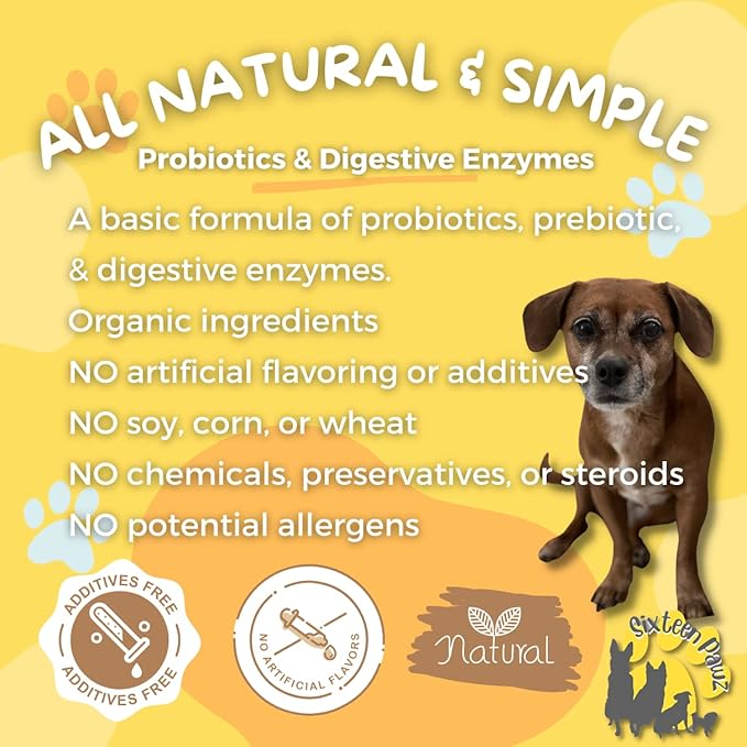 Dog & Cat Probiotics, Prebiotics, & Digestive Enzymes – Flavorless Powder for Gut Health, Allergies, Itchy Skin, Gas & Diarrhea – Organic, Vet-Approved – 65g Bottle (Up to 65 Servings)-Mewly Pet