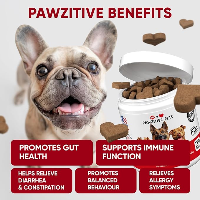 Probiotics for Dogs Digestive Health - Probiotic Chews for Gut Health, Itchy Skin Yeast, Diarrhea - USA Product - Immune Support Supplement - Dog Digestive Support & Allergy Relief Chews with Enzymes-Mewly Pet