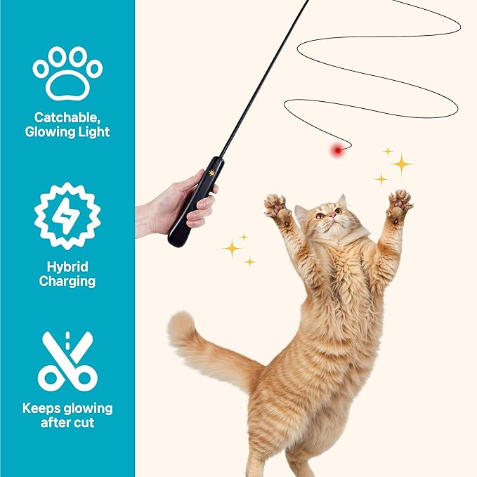 THE WAYS Lumiwhisker Cat Toys for Indoor Cats, LED Light Wand Toy-Mewly Pet