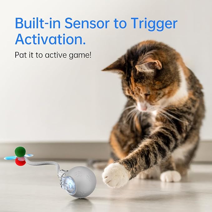 Interactive Cat Toys for Indoor Cats - Kitten Toy with Speedy Tail 2.0, Automatic Cat Toys for Bored Indoor Adult Cats, Motion-Activated, 2025 New Upgraded, USB Rechargeable (Grey)-Mewly Pet