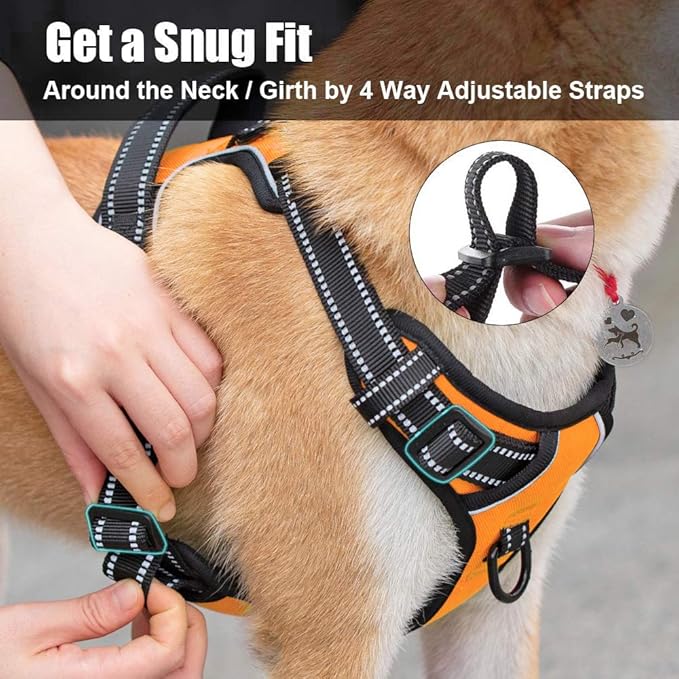 PoyPet No Pull Dog Harness, Reflective Comfortable Vest Harness with Front & Back 2 Leash Attachments and Easy Control Handle Adjustable Soft Padded Pet Vest for Small to Large Dogs (Orange,M)-Mewly Pet