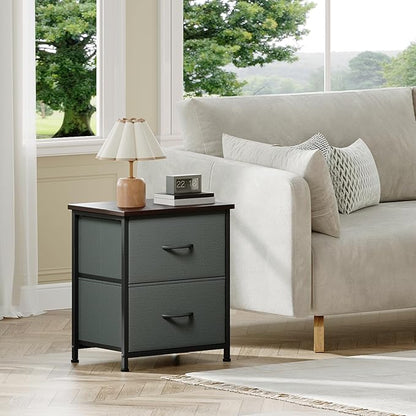 Somdot Nightstand, Small Dresser for Bedroom with 2 Drawers, Bedside Table Night Stand End Table with Fabric Bins for Bedroom Kids Closet Dorm Guest Room, Charcoal Grey