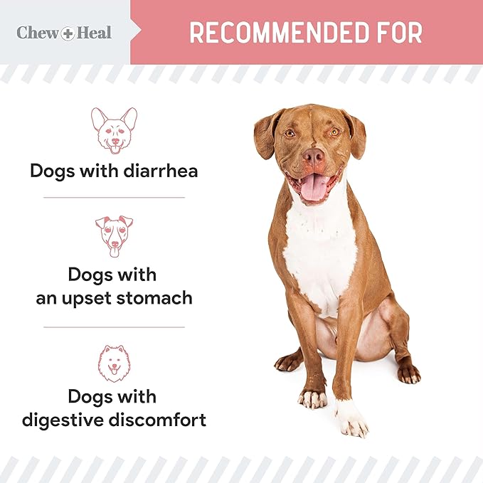 Chew + Heal Labs Anti Diarrhea for Dogs - 12 oz. of Stop The Diarrhea Liquid Supplement with Kaolin for Upset Stomach Relief - Made in The USA-Mewly Pet