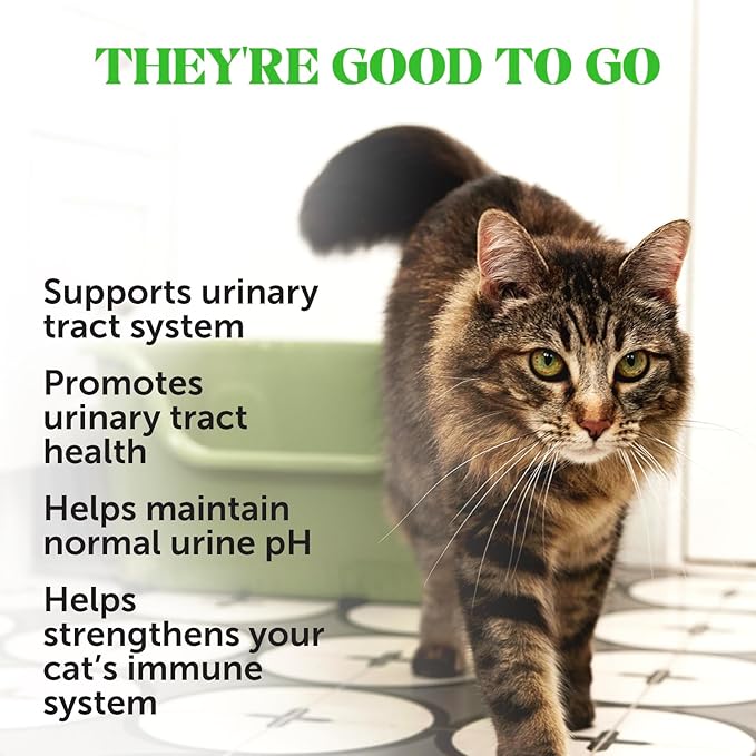 Cat Urinary Tract Health Crunchy & Creamy Chews - Promotes Healthy Digestion & Normal Bladder Function with Cranberry, Antioxidants, & Probiotics - Gut + Bladder Support Supplement (30 Day Supply)-Mewly Pet