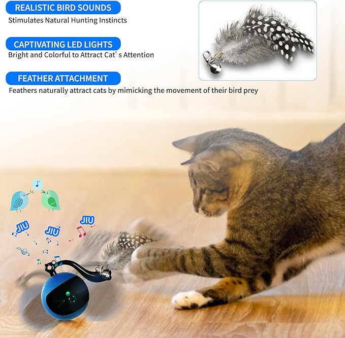 Interactive Cat Toy Ball with Remote Control, Automatic Moving & Rolling Cat Feather Toy, USB Rechargeable, Motion Activated Remote Control Cat Toy for Indoor Cats (Blue)-Mewly Pet