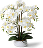 Ziwon Artificial Orchid Flowers & Plants Potted in Ceramic Pot, White Faux Phalaenopsis Orchids for Table Centerpiece, Realistic Fake Flower Arrangement for Home Office Decor Indoor