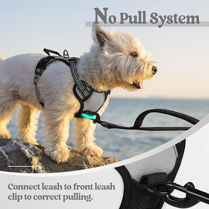 rabbitgoo Dog Harness No Pull with 2 Leash Clips, Adjustable Soft Padded, Reflective Oxford No Choke Pet Vest with Easy Control Handle for Puppy, Grey, XS-Mewly Pet