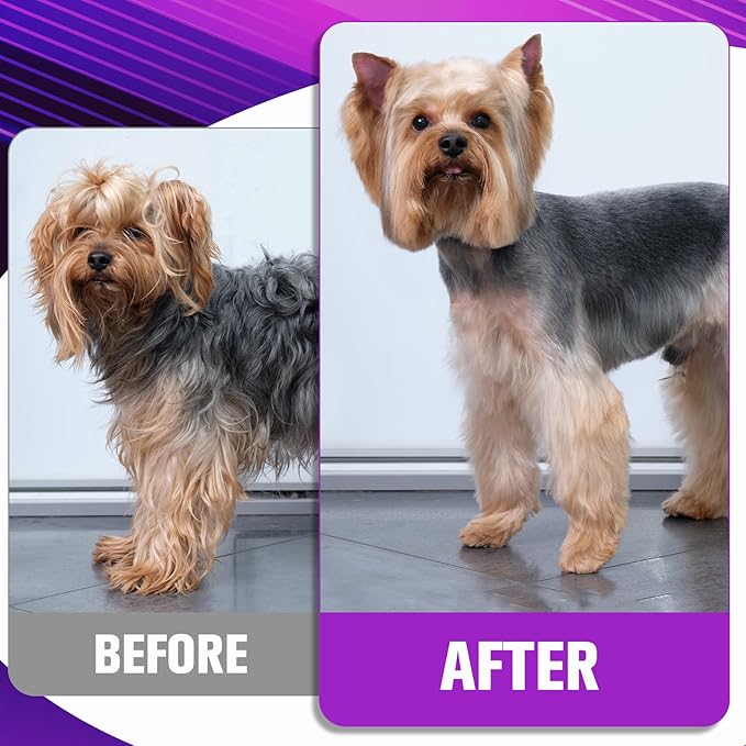 Professional Dog Grooming Scissors Set - 6.5" Thinning, 7" Straight, 7" Up-Curved, 7" Down-curved Scissors and Comb for Dog Cat Pet (Purple)-Mewly Pet