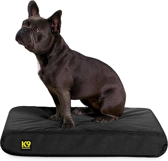 K9 Ballistics Tough Rip-Stop Orthopedic Rectangle Dog Bed Removable Washable Cover, Solid Orthopedic Foam for Size S Dogs 24"x18", Obsidian Black-Mewly Pet