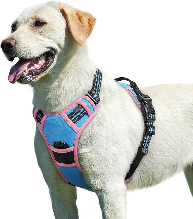 Eagloo Dog Harness for Large Dogs, No Pull Service Vest with Reflective Strips and Control Handle, Adjustable and Comfortable for Walking, No Choke Pet Harness with 2 Metal Rings, Pink & Blue, L-Mewly Pet