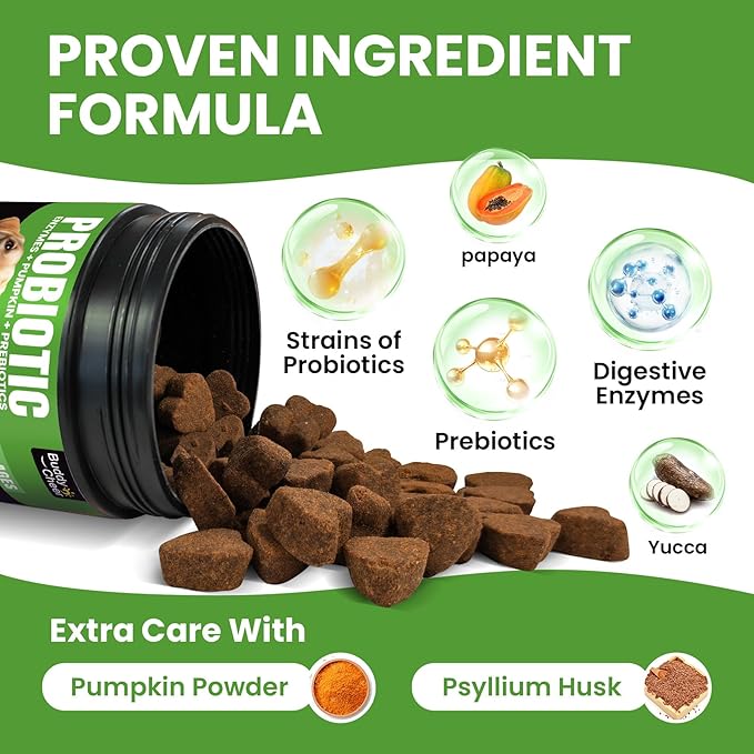 Probiotics for Dogs - Dog Probiotics with 5 Enzymes & 4 Prebiotics for Itchy Skin, Pet Probiotics lab for Digestion & Gut Support, Helps Diarrhea, Yeast Infection, Allergies & Immune System -180 Chews-Mewly Pet