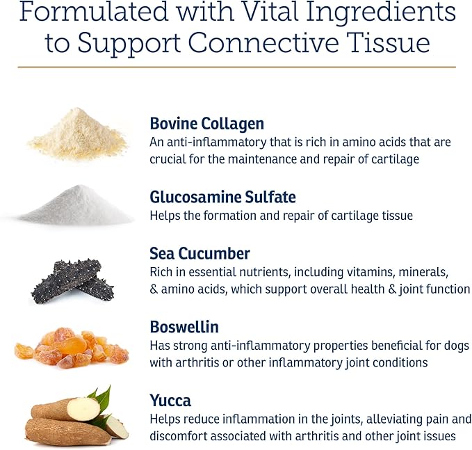 Rx Vitamins NutriFlex for Cats & Dogs - Glucosamine for Dogs Hip and Joint Supplement - with Bovine Collagen and Chondroitin - Joint Pain Relief & Anti Inflammatory for Dogs - Beef Liver (90 Chews)-Mewly Pet